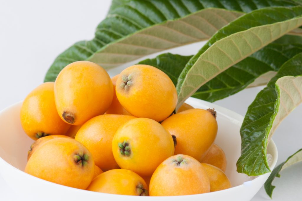 旬の枇杷（びわ）