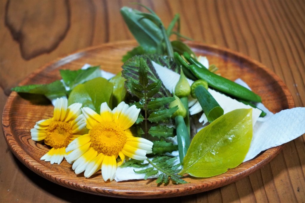 春一番がもたらす体調不良にオススメ食材。