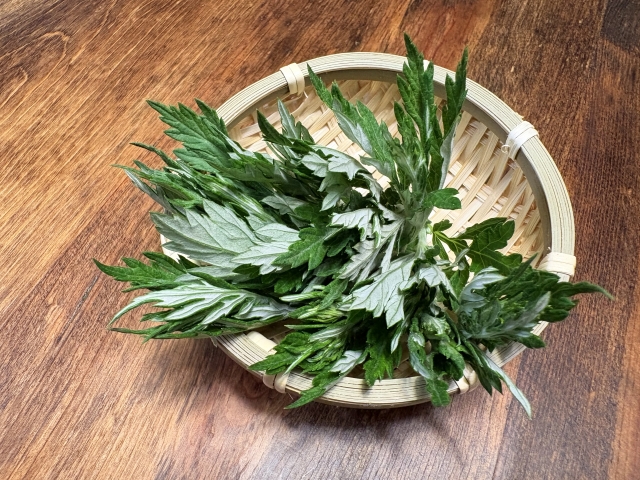 よもぎ蒸しの「粘膜吸収」はなぜ優れているのか——体の内側から整える自然療法の魅力