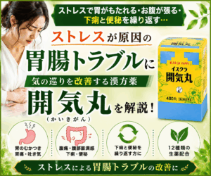開気丸はストレスや自律神経の乱れから起こる胃腸症状に
