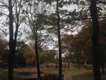 $はくすい堂　ステキに先生のコウノトリの贈り物